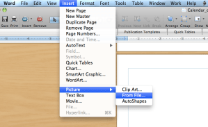 Insert Picture (from file)