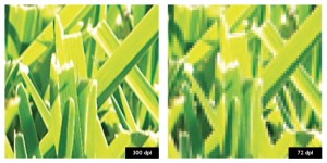 300 dpi vs 72 dpi at 350% zoom