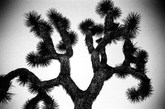 Photography by Nick Tauro Jr.